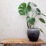 Fleurs artificielles en pot.  Frapper ou mastiquer ?