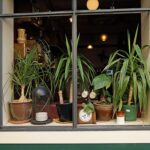 Comment juxtaposer des fleurs dans différents couvercles et pots ?