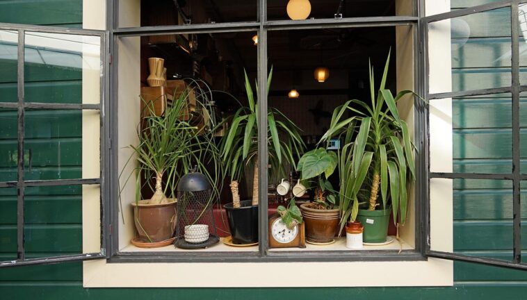 Comment juxtaposer des fleurs dans différents couvercles et pots ?