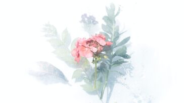 Donnez du style à vos murs avec des peintures à l'aquarelle !