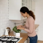 Comment décorer votre cuisine avec des plantes d'intérieur
