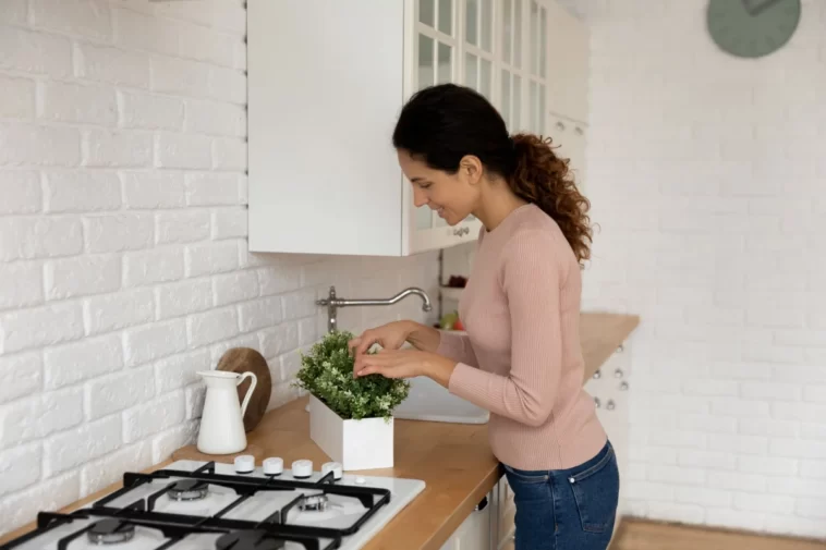Comment décorer votre cuisine avec des plantes d'intérieur