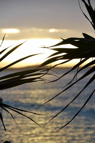 Comment les stores Sunshine Coast peuvent transformer votre maison