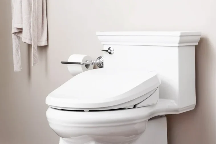 Modèles de bidets personnalisables : Personnalisez votre salle de bain